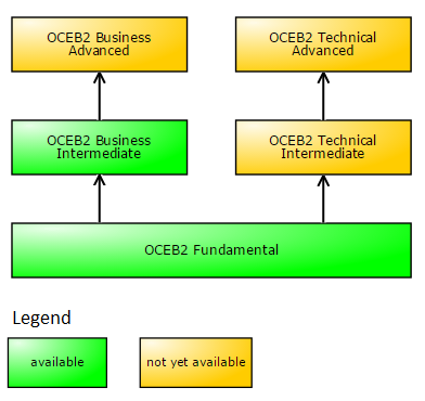 Latest OMG-OCEB2-FUND100 Dumps Book