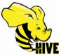 Image for the Hive Training in Pakistan